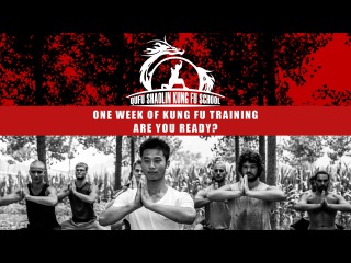 One Week of Training - Are you ready? - Learn Traditional Martial Arts in China