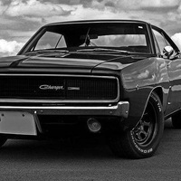 Дима Федорчук | 