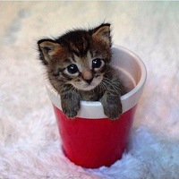 Анастасия Зорина | Нижний Тагил