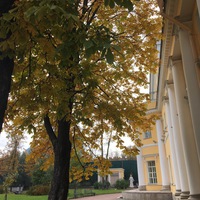 Мария Мавричева