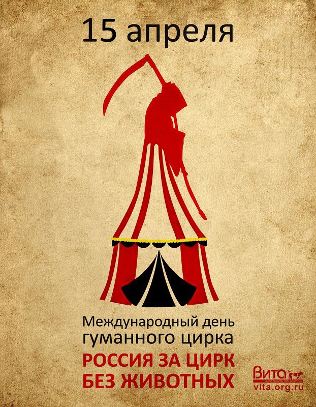 Афиша Челябинск Жители Челябинска - за гуманный цирк