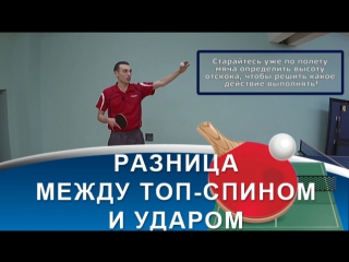 УДАР и ТОП-СПИН в НАСТОЛЬНОМ ТЕННИСЕ (Разница в технике удара и топ-спина в настольном теннисе)
