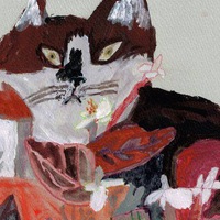 Ирина Колосова