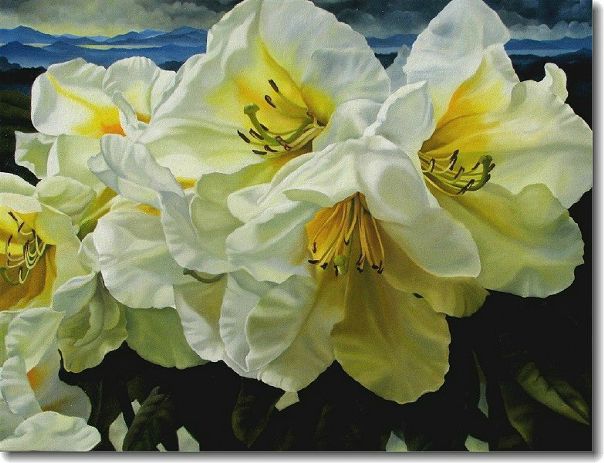 Художник Hilary Eddy