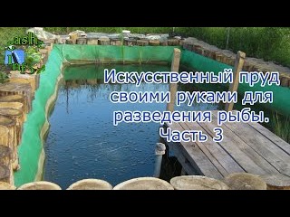 Искусственный пруд своими руками для разведения рыбы. Часть 3
