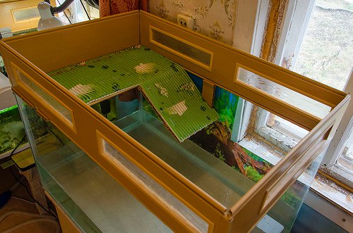 Островок Для Красноухой Черепахи