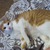 Фото пользователя Марина