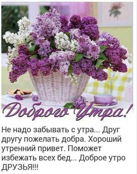 https://pp.userapi.com/c637318/v637318753/4142b/b1G_BWVhOec.jpg