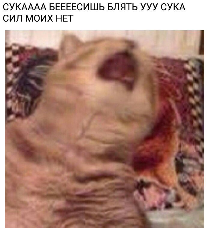 XIoPuPUsXus.jpg