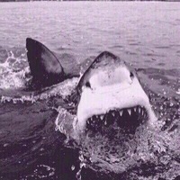 Василий Щедрин | 