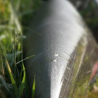 Анна Николаевна