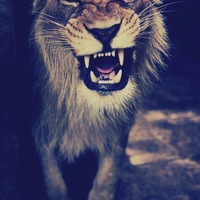 Игорь Колмаков | 