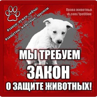 Наталья Клочкова