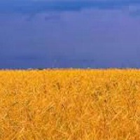 Татьяна Линник | Бердянск