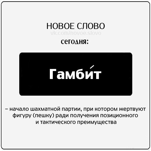 Магазин Новое Слово