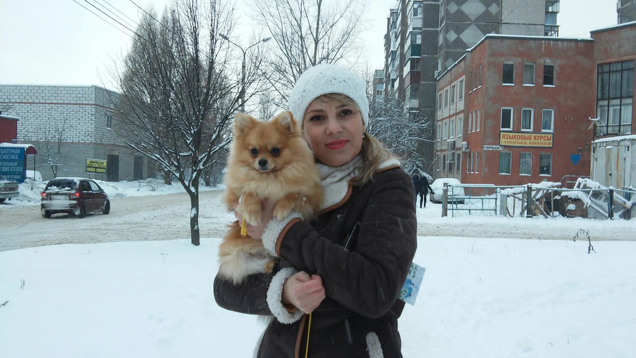 Реутова курск