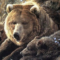 Андрей Мельников  PLATON