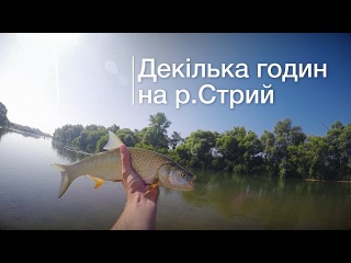 Декілька годин на р.Стрий
