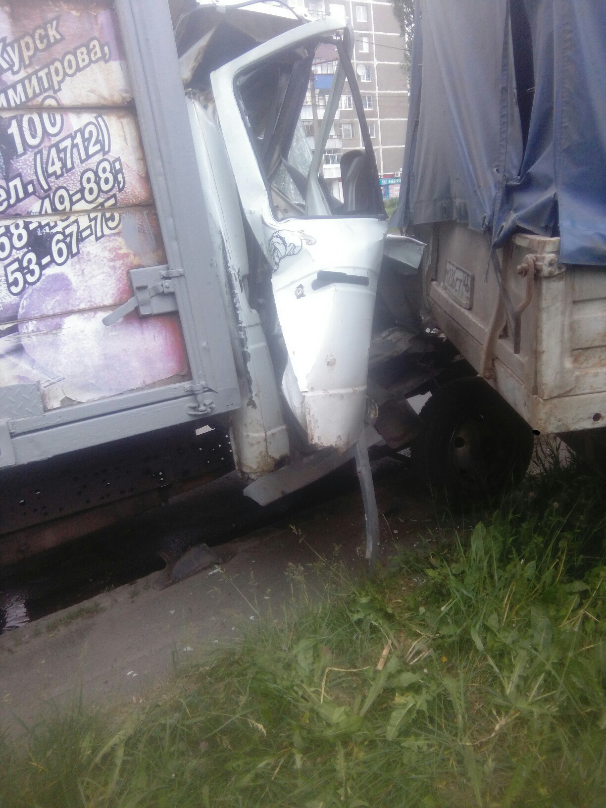 Газель в дерево