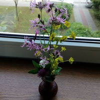 Жанна Гарниш