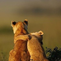 Малу Байсангур