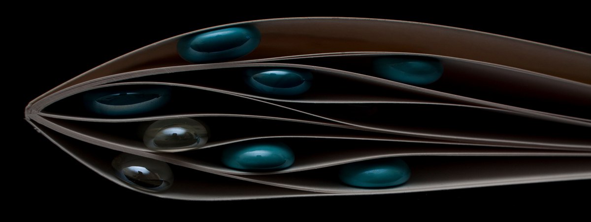 ������ �������� �������� ��� ���������