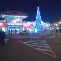 Ирина Синцова | Севастополь