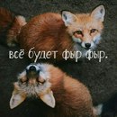 шутки XhSKJbPOeaw