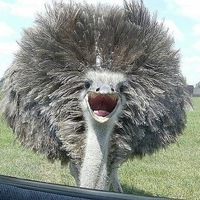 Тамара Крутакова