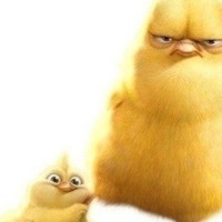 Дарья Кравченко