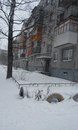 Объявление от Алёна - фото №1