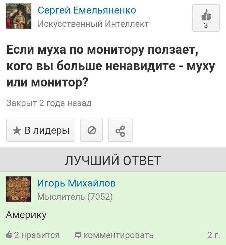 z1Pt1fselEo.jpg
