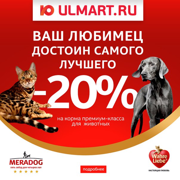 Ваш Питомец Уфа Интернет Магазин