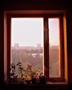 Объявление от Ольга - фото №1