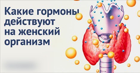 Какие гормоны действуют на женский организм 