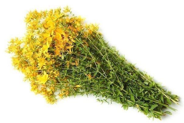 ЛЕЧЕБНЫЙ СИРОП ДЛЯ ПЕЧЕНИ, ПОЧЕК И ЖКТ. 