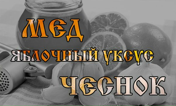 ЧЕСНОК, МЕД И УКСУС 