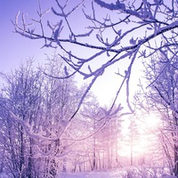 Петр Маслюков