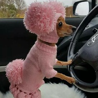 Инна Николаенко