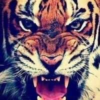 Мария Теплова | 