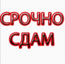 Объявление от Раиса - фото №1
