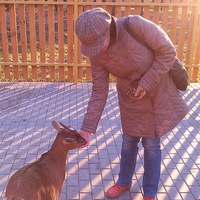 Татьяна Танина