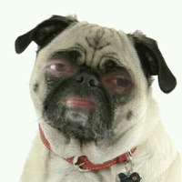 Кириллыч Лагутин