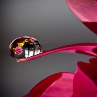 Марина Шишкина