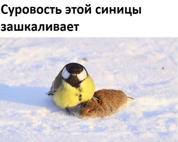 4Mt3Rfyl5AE.jpg