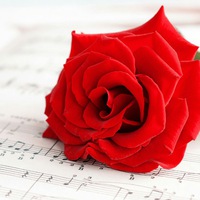 Ира Витюкова