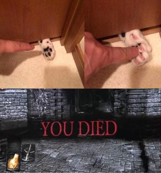 02E_aReNb6c.jpg