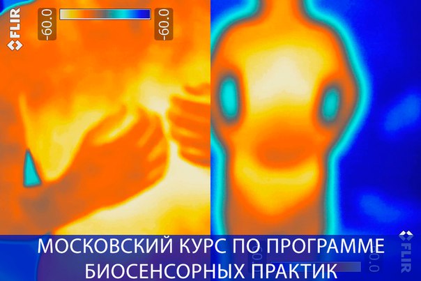 ==================== 