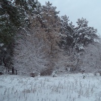 Машенька Солнышко | 
