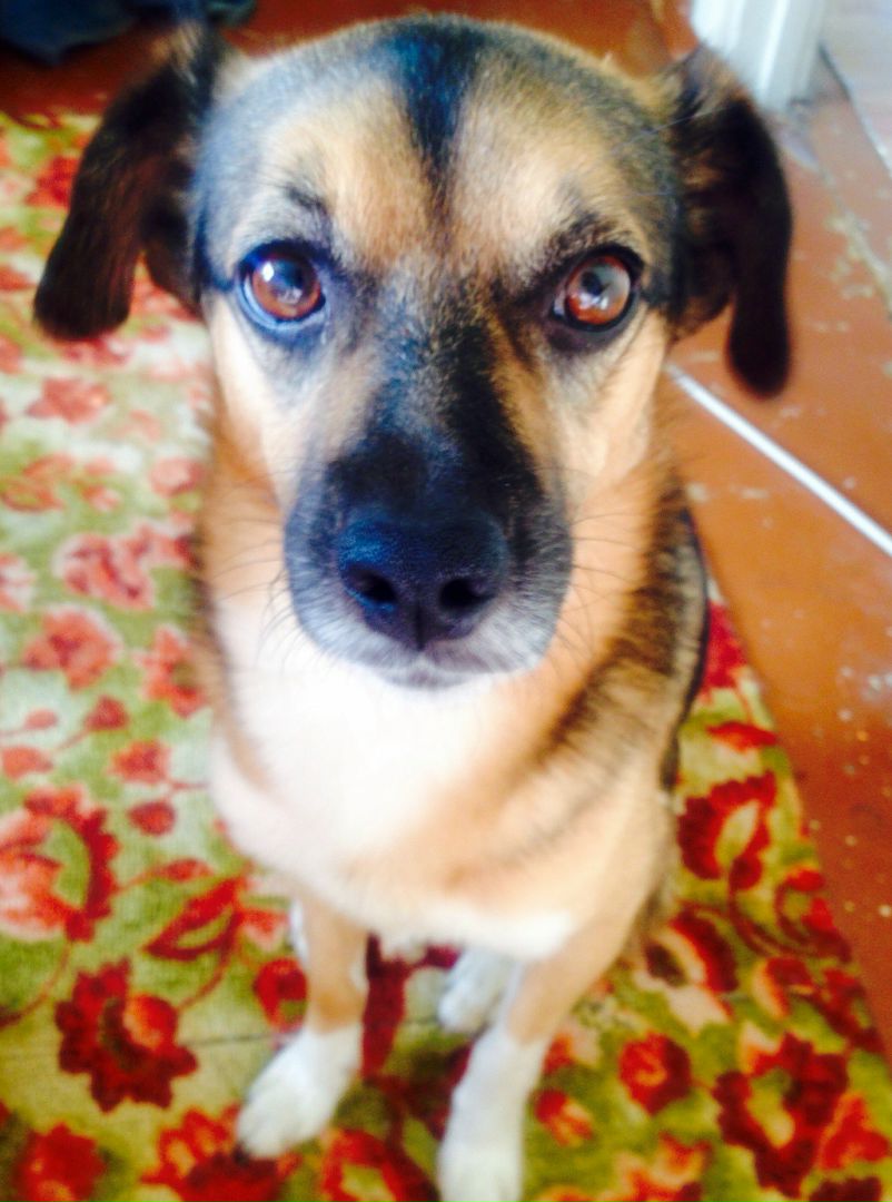 Дмитрий Бабушкин